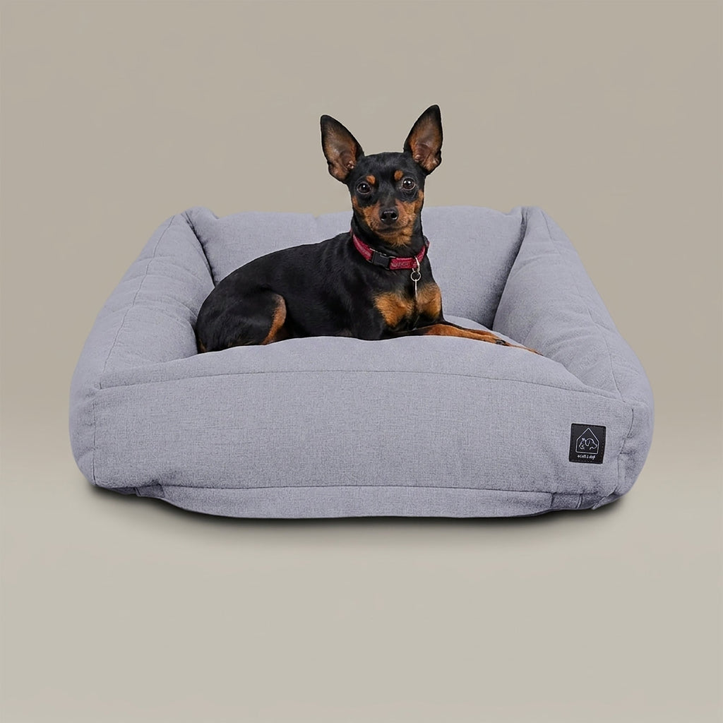 Dog lying on a gray pet bed against a beige background