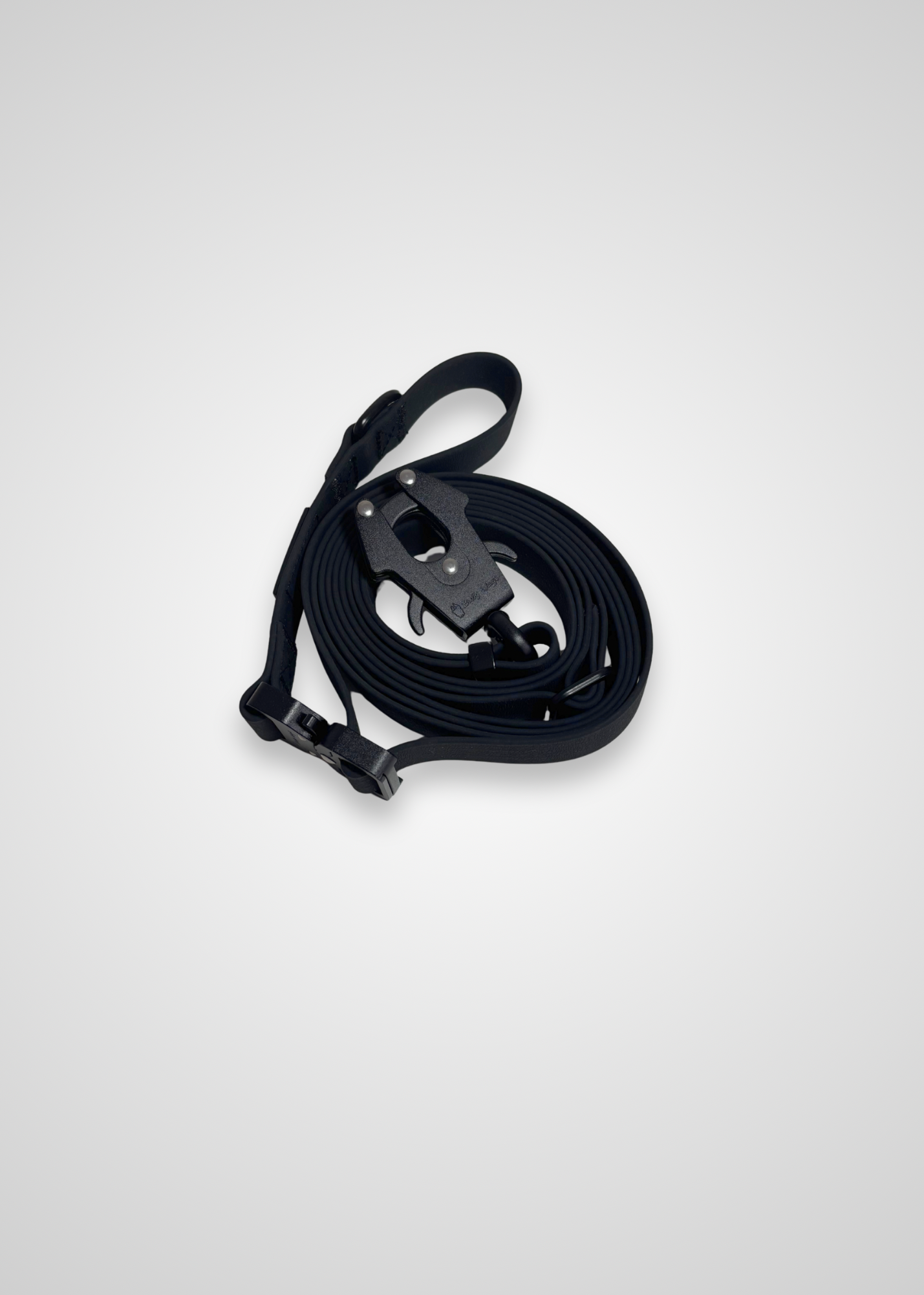 Black dog leash on a white background