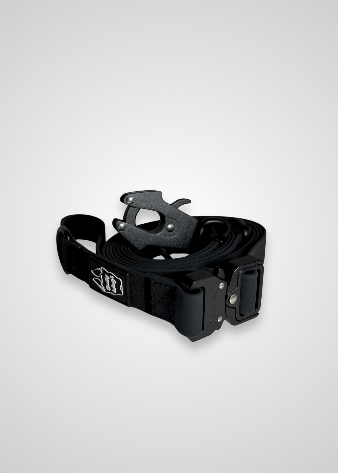 Black dog leash with metal frog clip on a light gray background