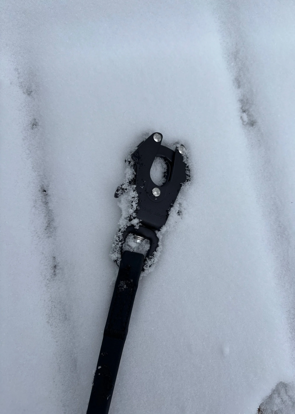 Black dog leash with frog clip in snow