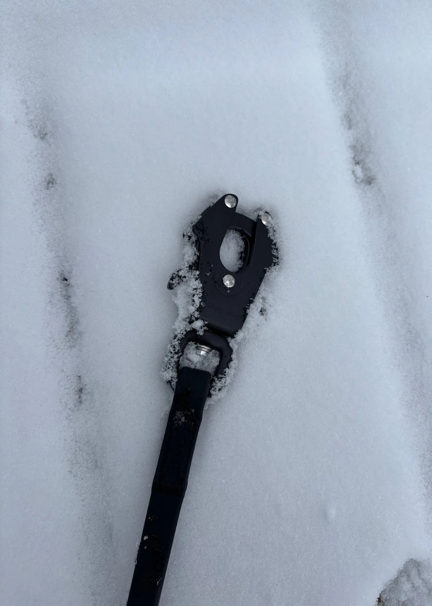 Black dog leash with frog clip in snow