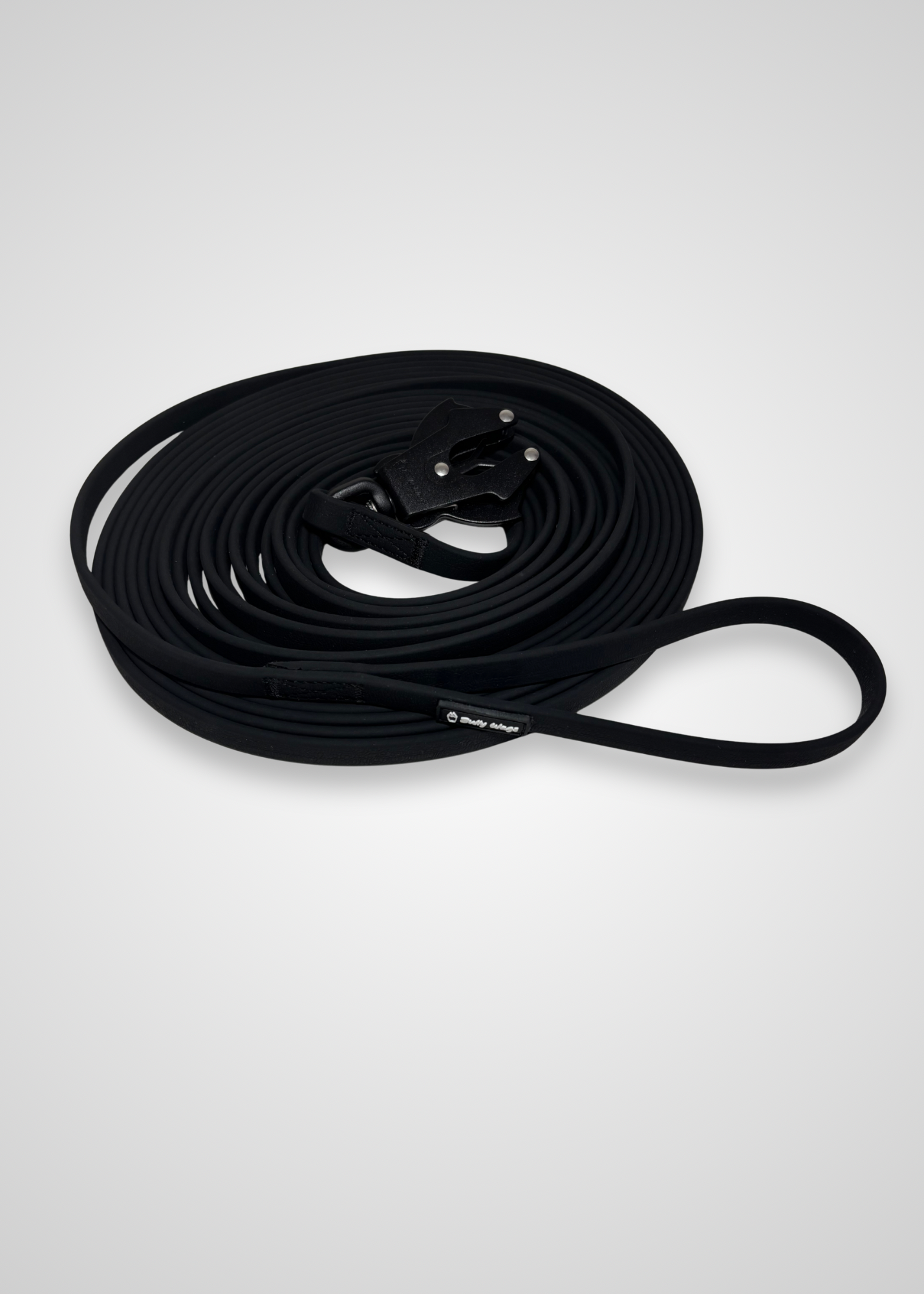 Black dog leash on a white background