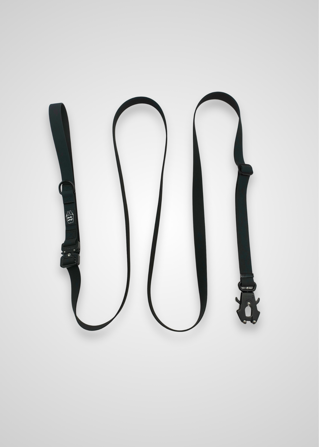 Black dog leash with metal frog clip on a white background