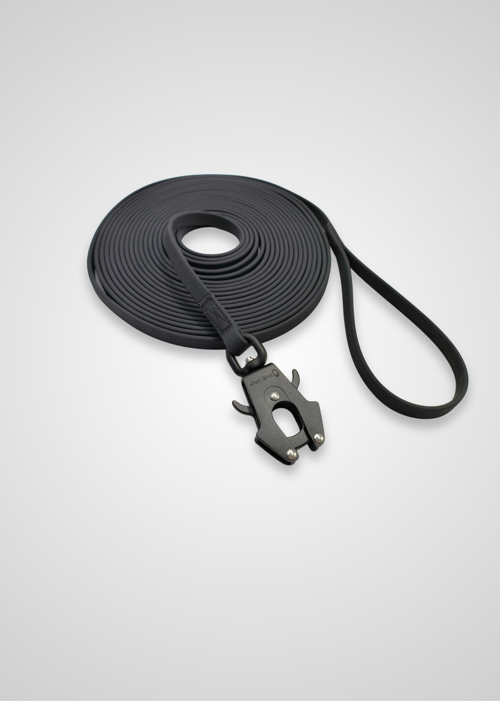 Black dog leash with a frog clip on a light gray background