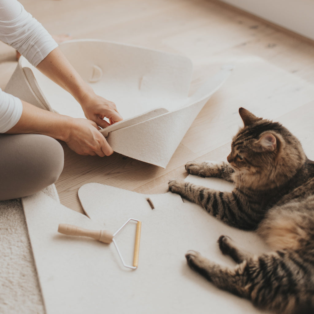 Person assembling a pet bed with a cat on a light-colored floor.