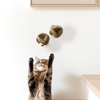 Cat playing with two felt cat toys on a white wall.