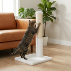 Cat scratching a white cat scratching post in a living room with a brown couch and plants.