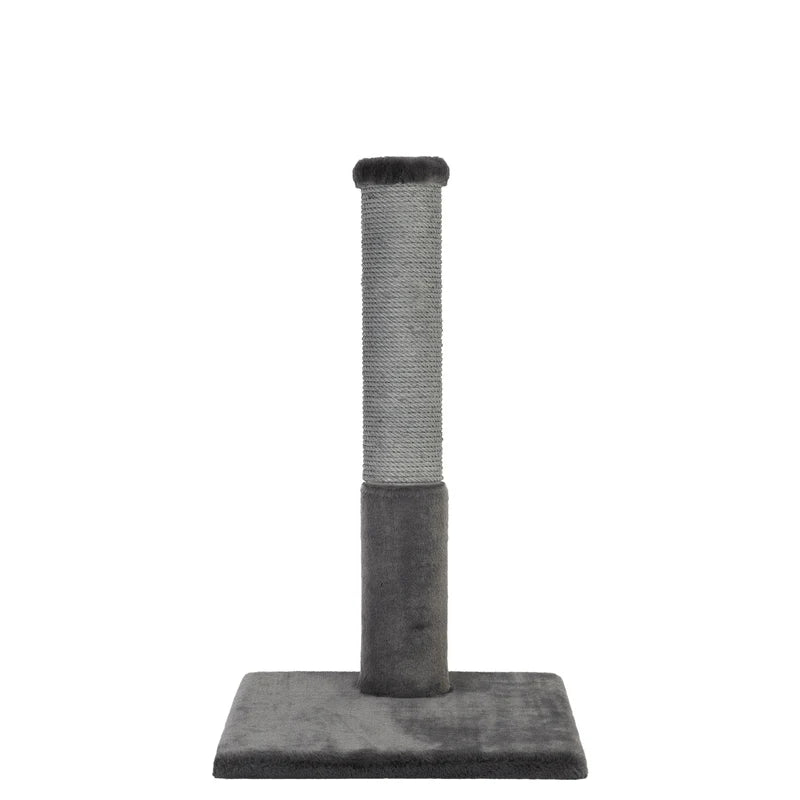 Gray cat scratching post on a white background