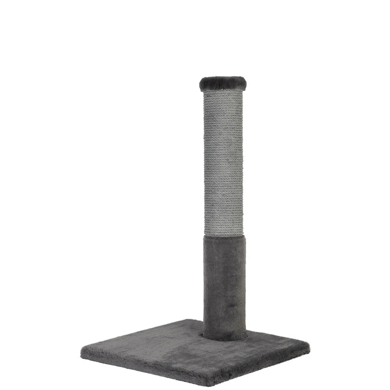 Gray cat scratching post on a white background