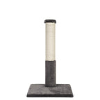 Cat scratching post with a cylindrical sisal-covered post and a gray base on a white background
