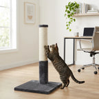 Cat climbing a scratching post in a home office setting with a desk and chair.