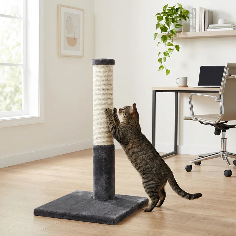 Cat climbing a scratching post in a home office setting with a desk and chair.