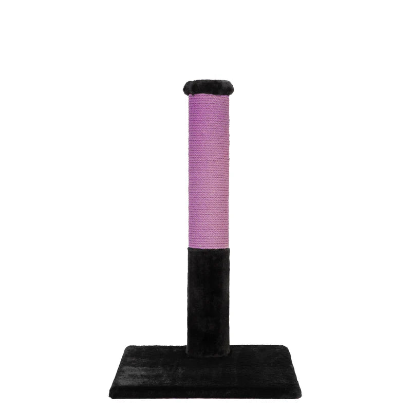 Cat scratching post with purple cylindrical top and black base on a white background