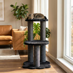 Cat sitting on a multi-level cat tree in a living room with a couch and plants.