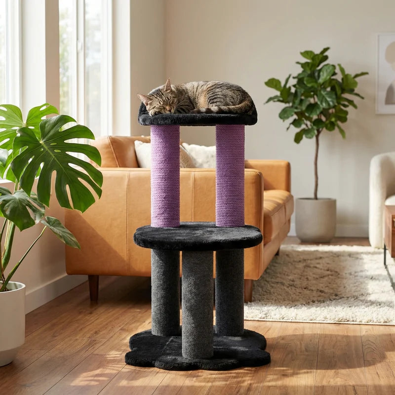 Cat resting on a multi-level cat tree in a living room with plants and furniture.