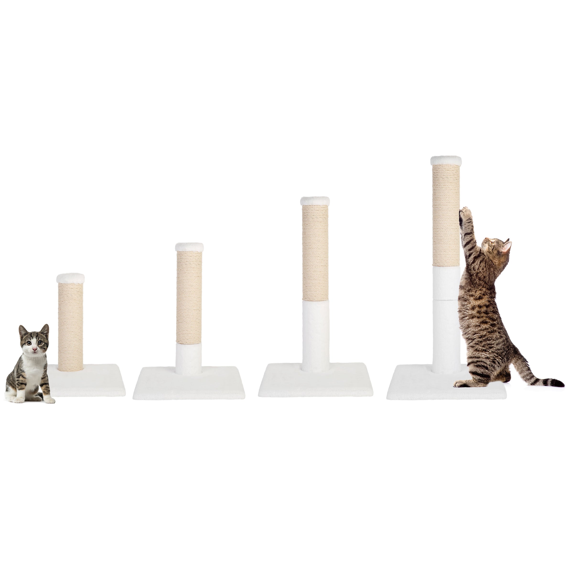 Set of cat scratching posts with two cats interacting with them on a white background