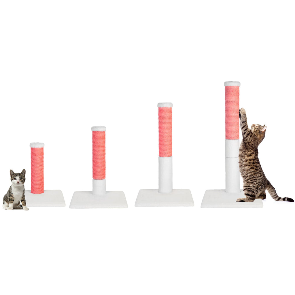 Cat playing with a set of cat scratching  posts on a white background