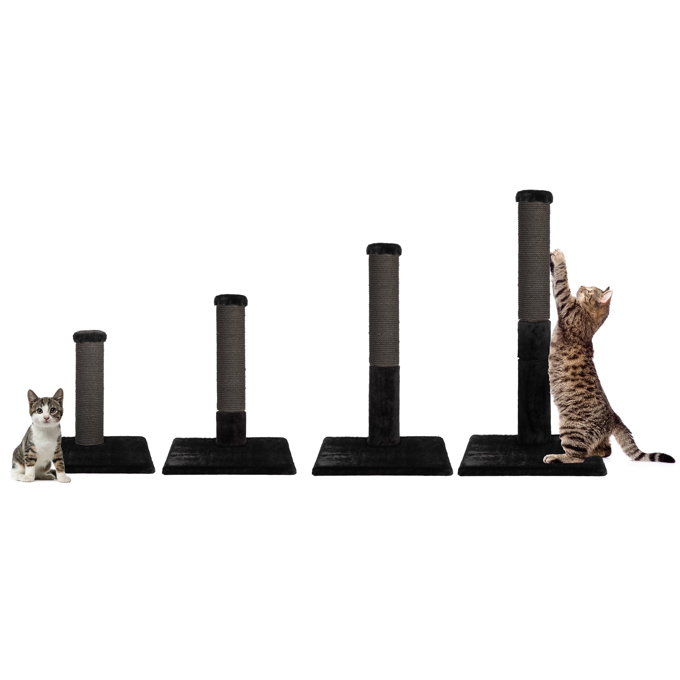 Set of cat scratching posts with two cats interacting with them on a white background