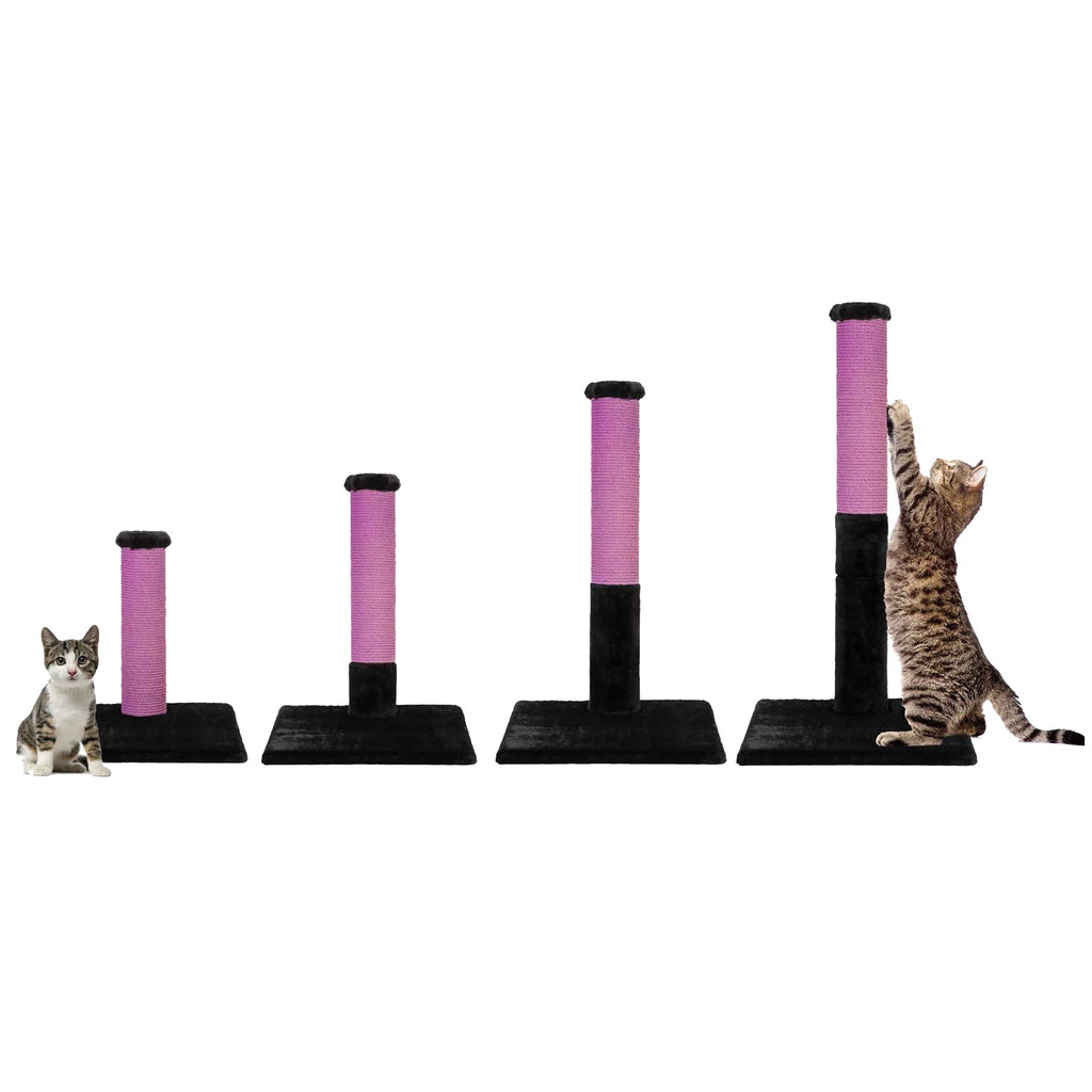 Set of cat scratching posts with cats interacting on a white background