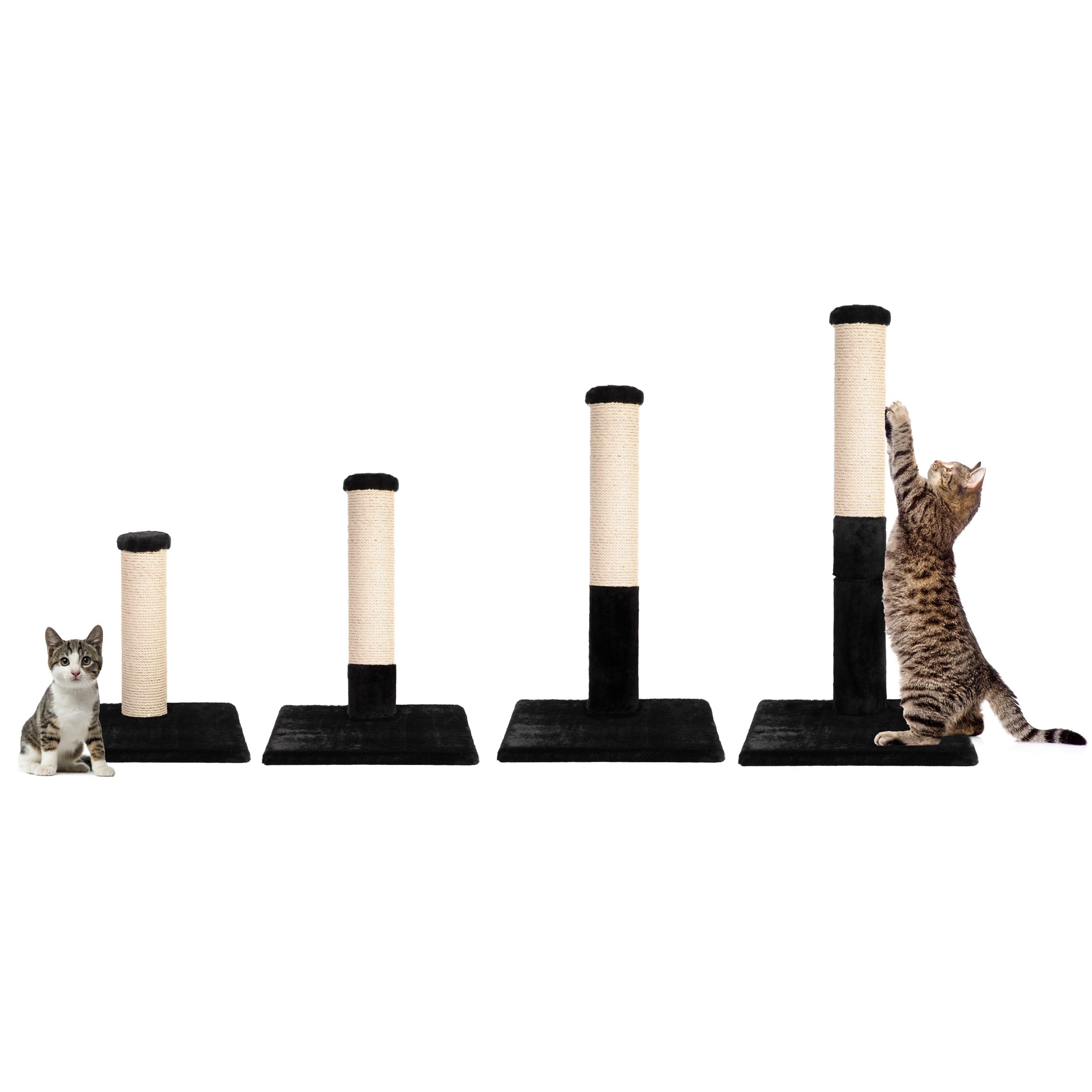 Set of cat scratching posts with cats interacting on a white background