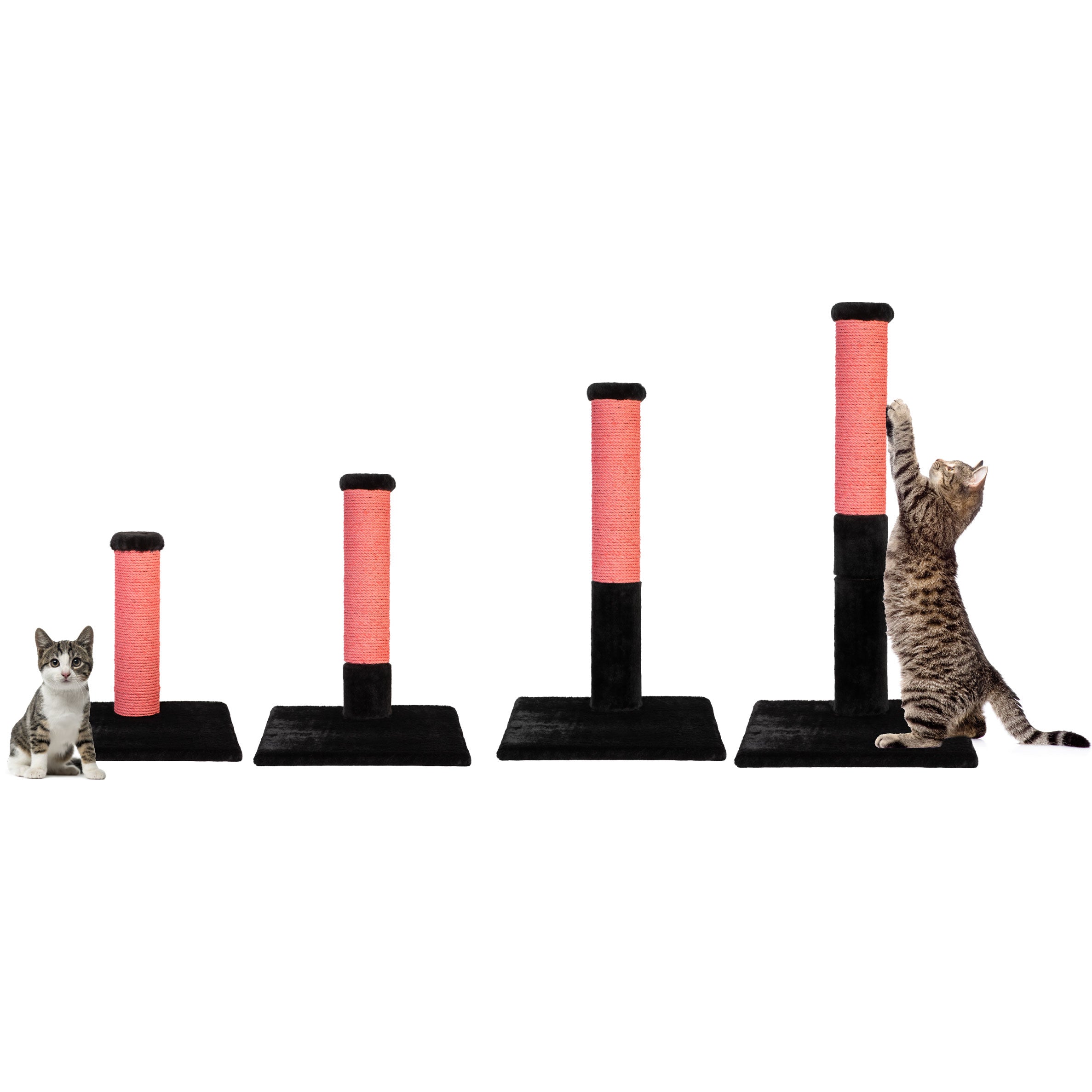Set of cat scratching posts with two cats interacting with them on a white background