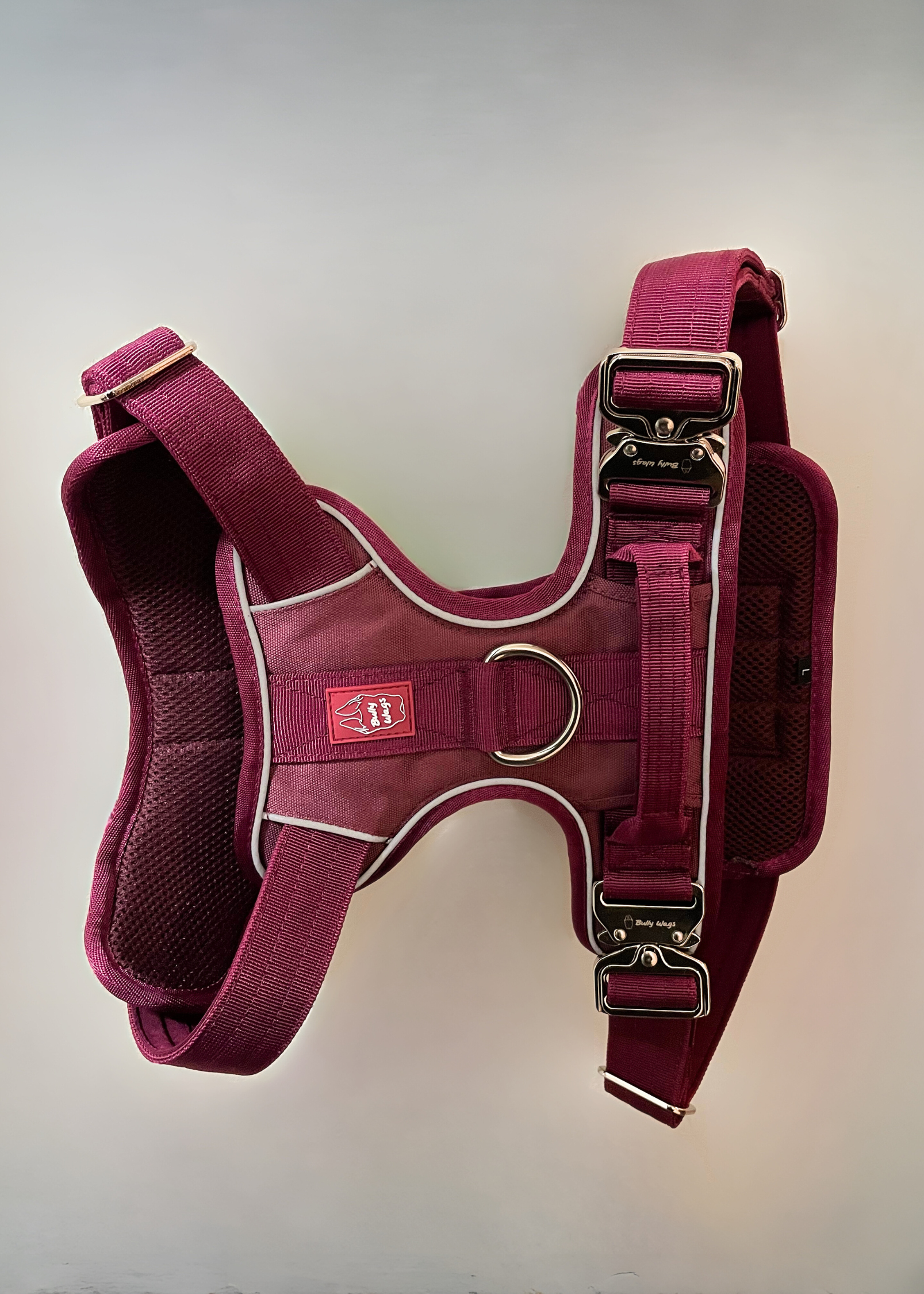 Red dog harness with metal buckle on a light gray background