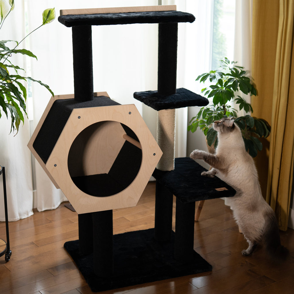 Cat climbing a multi-level cat tree with a hexagonal platform in a home setting.