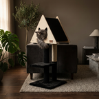Cat sitting on a modern cat tree in a cozy living room.