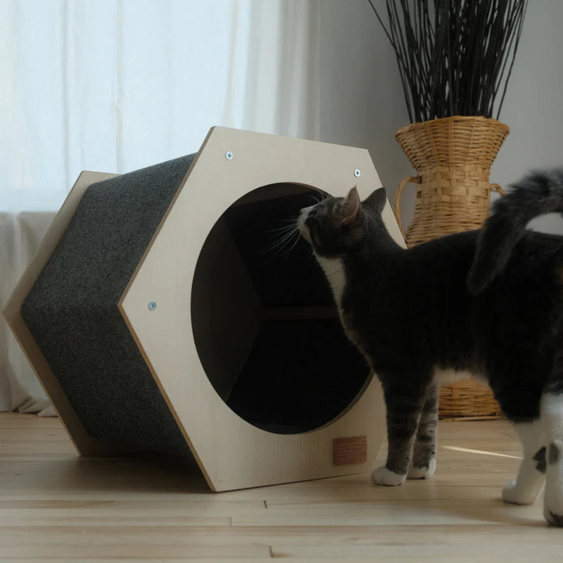 Hexagonal pet bed with a cat interacting with it on a wooden floor.