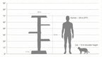 Measurement chart comparing a cat tree, human, and cat in terms of height.