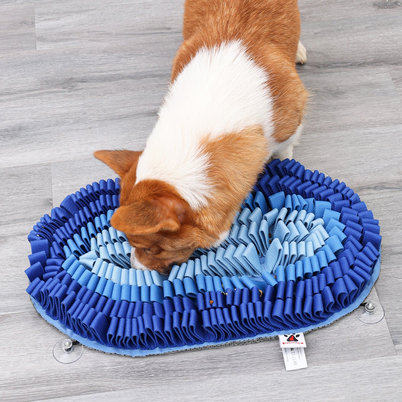 Dog sniffing a blue snuffle mat on a wooden floor