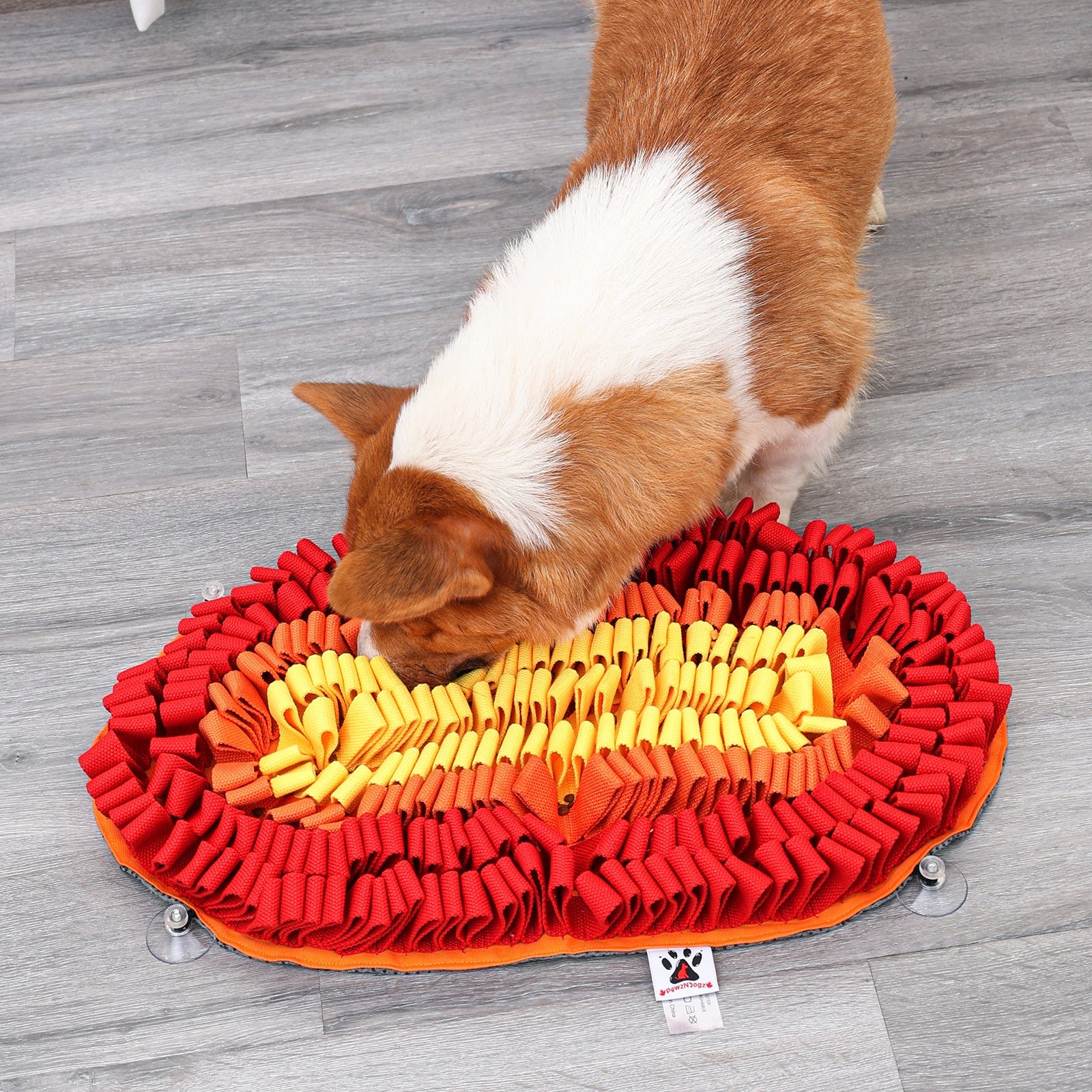 Dog playing with a red and yellow snuffle mat on a wooden floor
