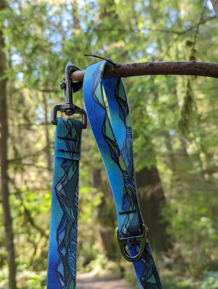 Blue and green patterned dog leash hanging on a tree branch with a blurred natural background