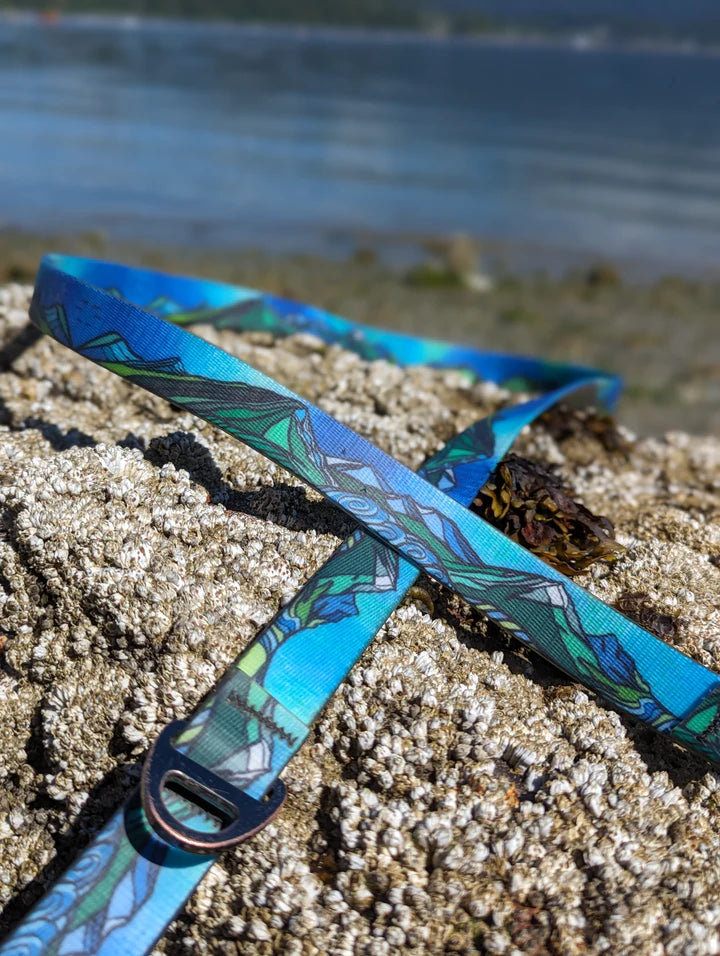 Blue and green patterned strap on a sandy beach with water in the background