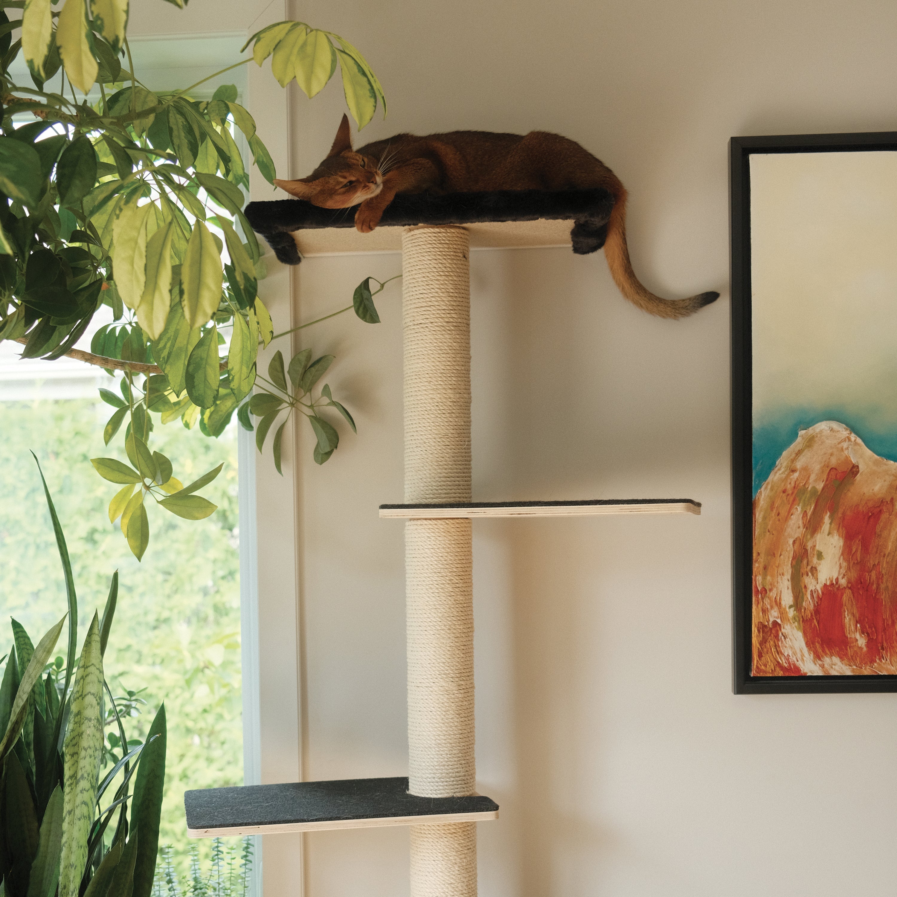 Cat climbing a cat tree next to a window with plants and a painting in the background