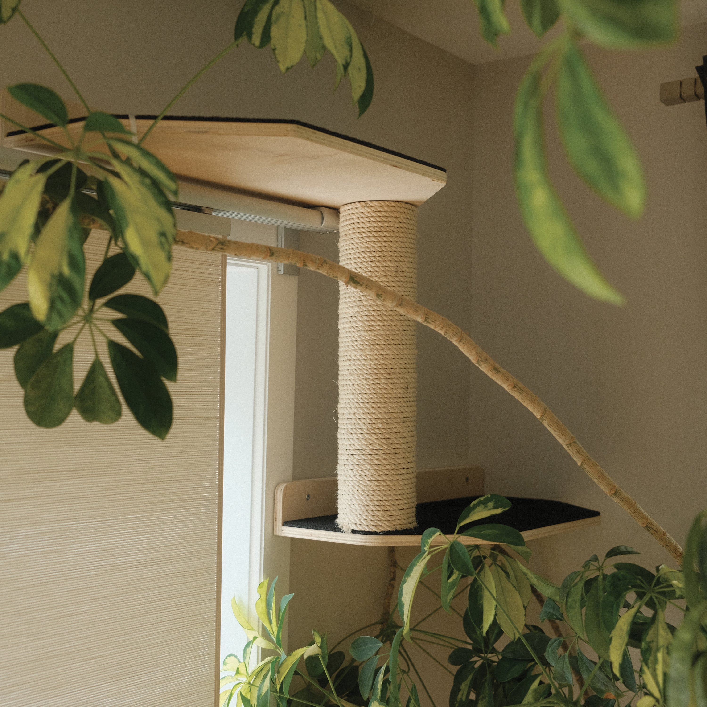 Cat tree with sisal-wrapped post and platforms surrounded by green plants