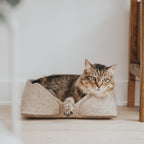 Cat sitting in a beige cat bed on a wooden floor.