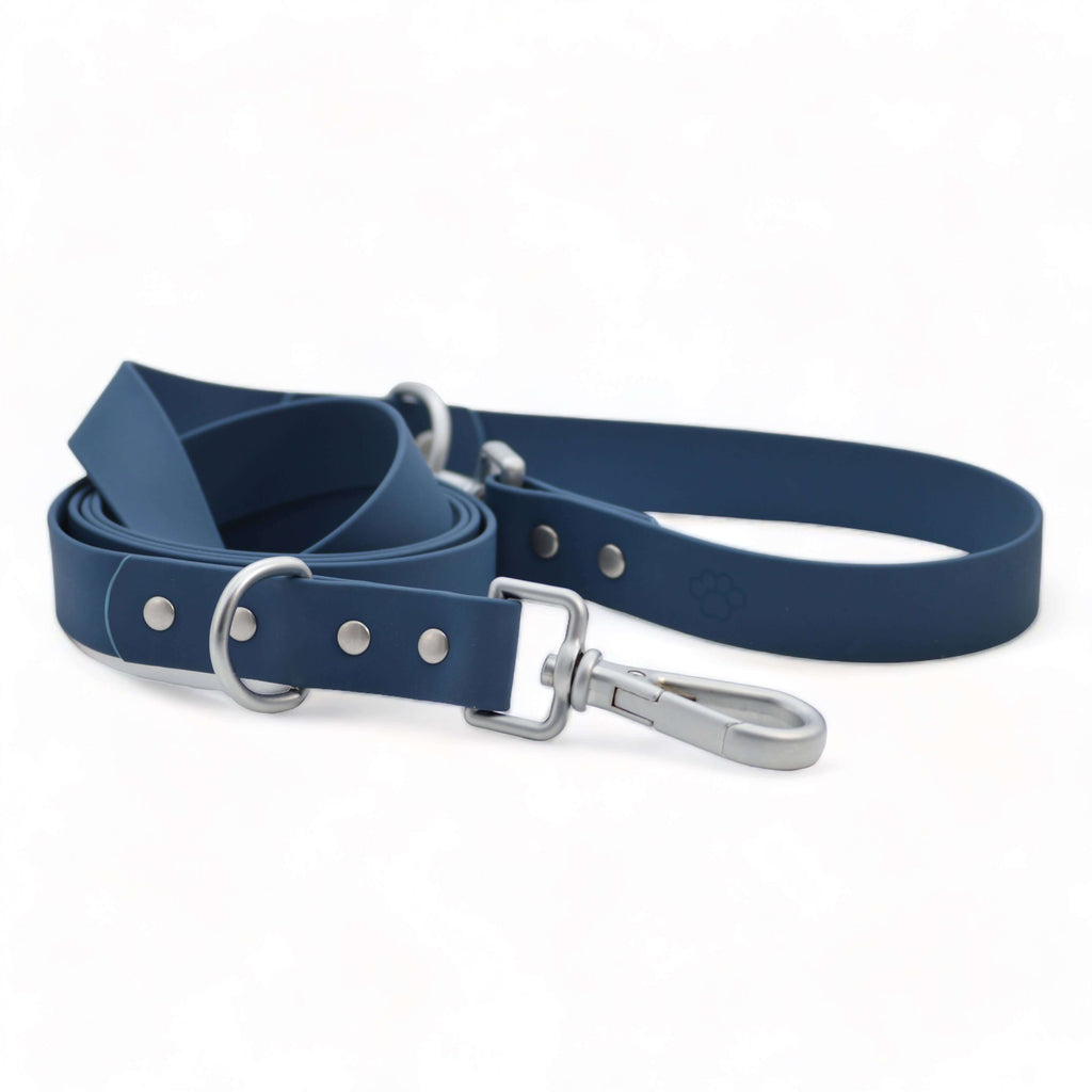 Blue dog leash with silver hardware on a white background