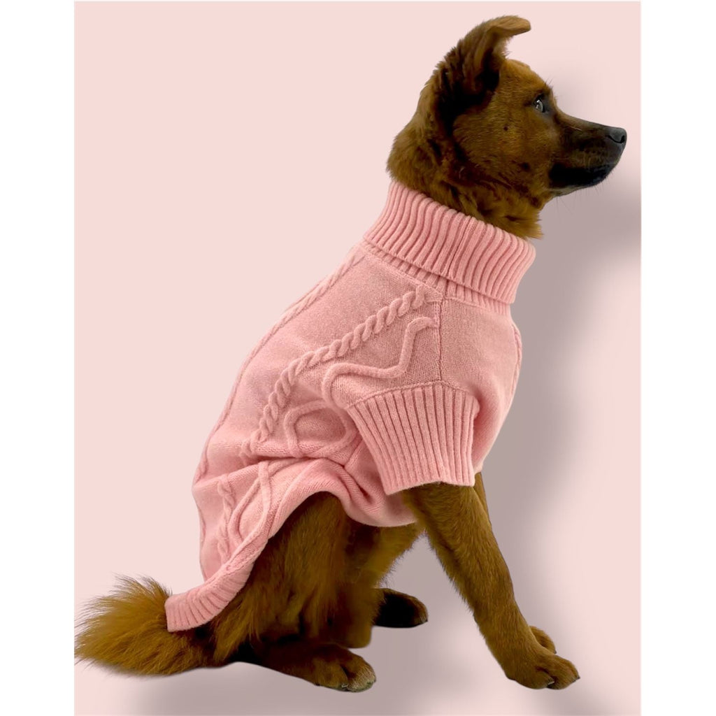 Dog wearing a pink sweater on a light pink background