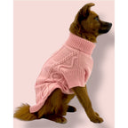 Dog wearing a pink sweater on a light pink background
