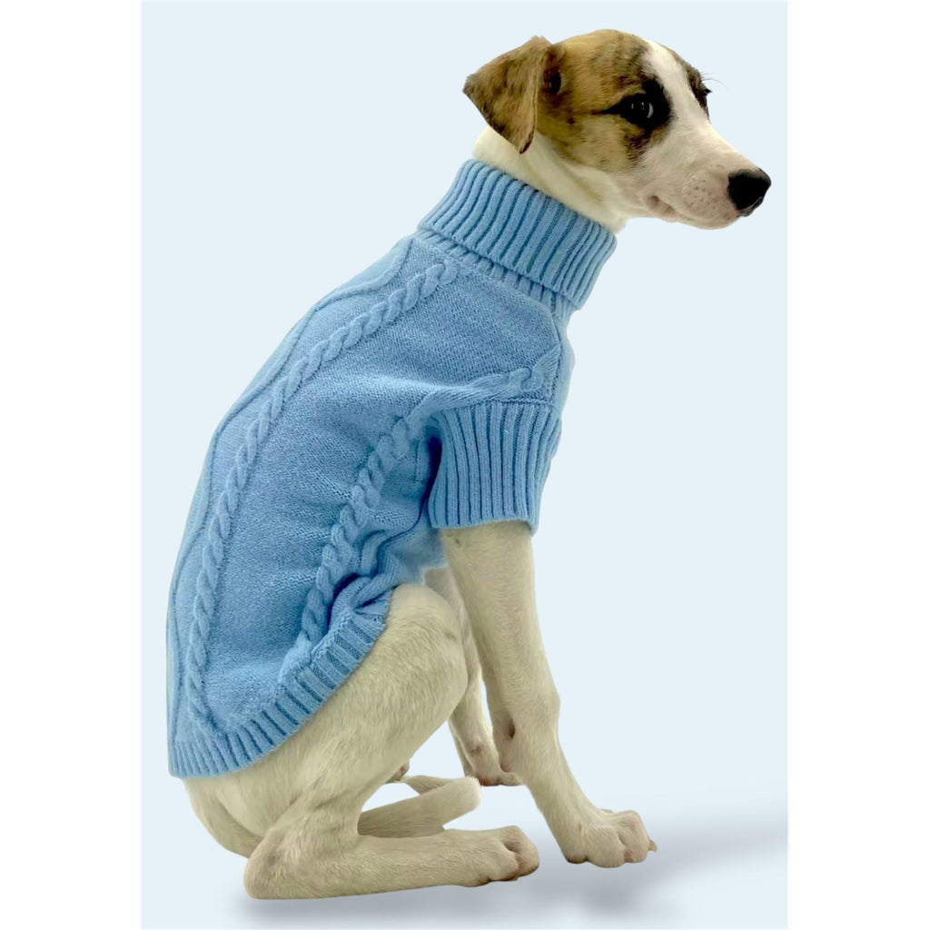 Dog wearing a blue knitted sweater on a light blue background