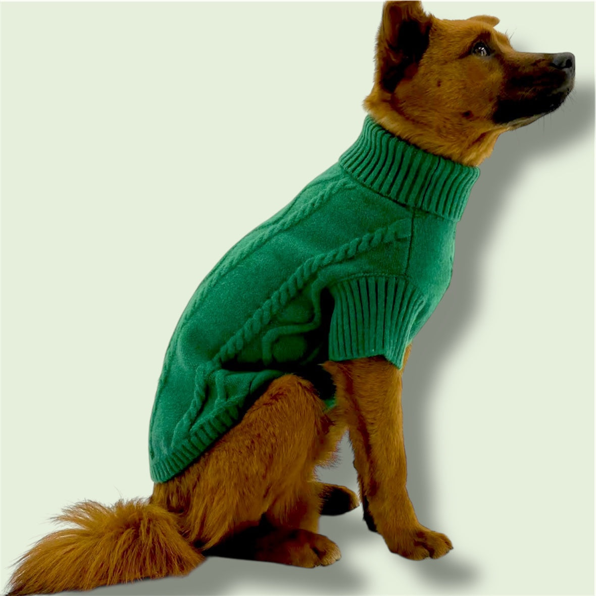 Dog wearing a green sweater on a light background