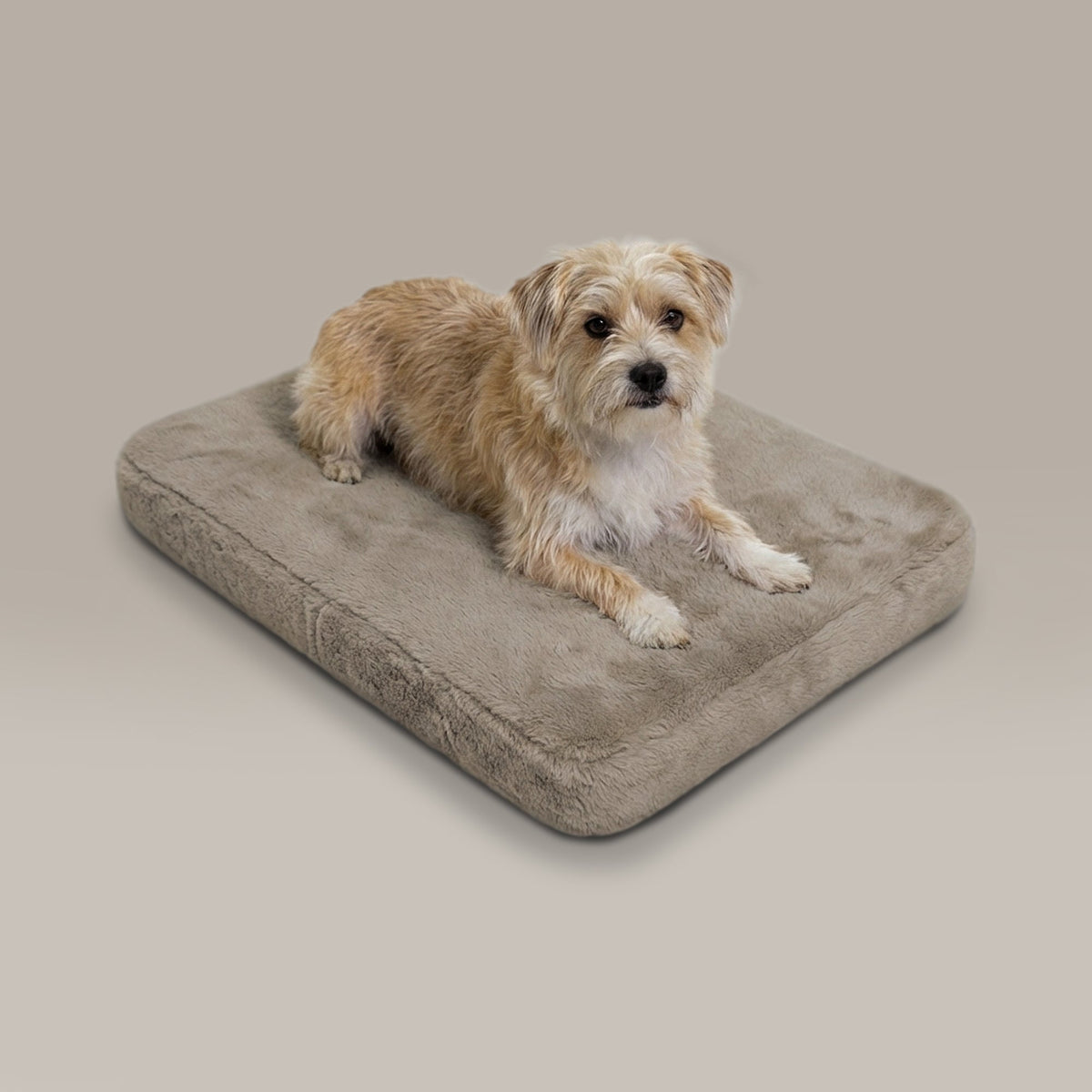 Dog lying on a large brown pet bed against a plain background