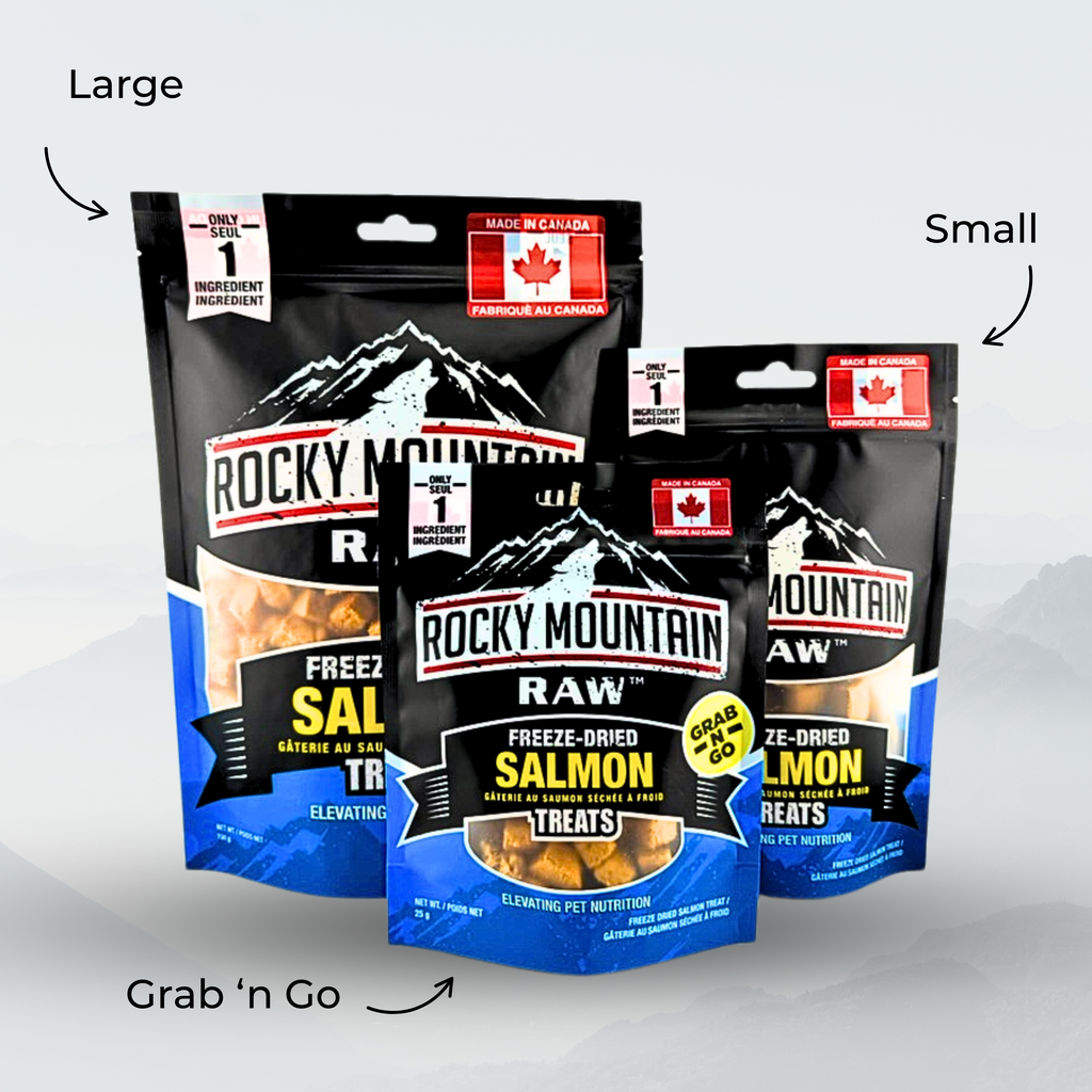 Three packages of Rocky Mountain Raw Freeze-Dried Salmon Treats on a light gray background