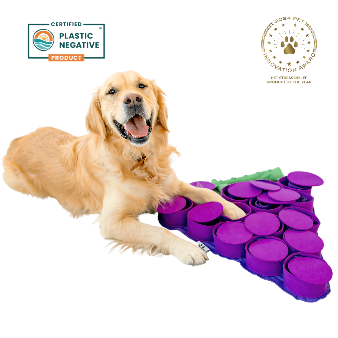 Dog playing with a purple pet puzzle toy on a white background, with 'Plastic Negative' and 'Pet Stress Relief Product of the Year' badges.