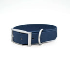 Blue dog collar with silver buckle on a white background