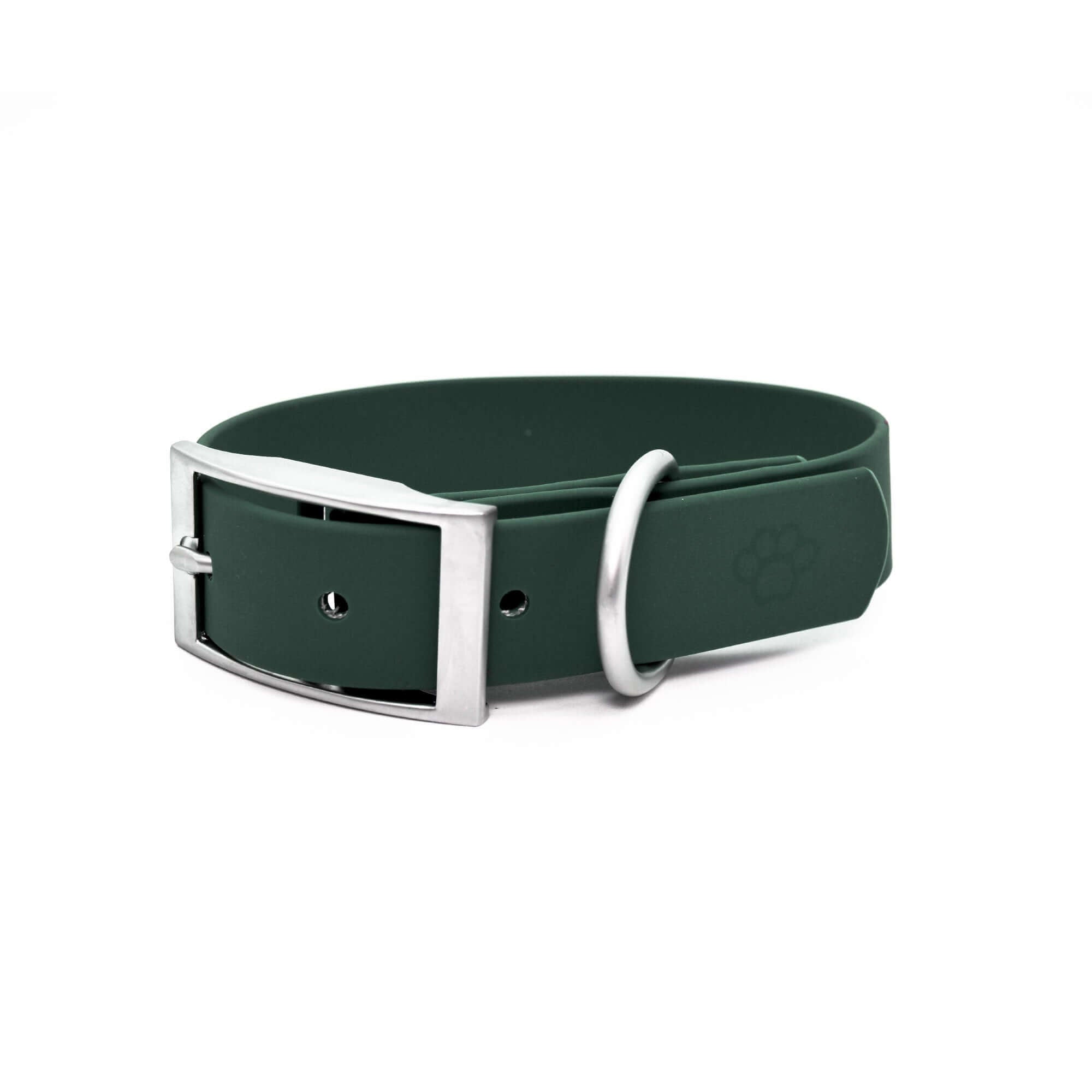 Green dog collar with silver buckle on a white background