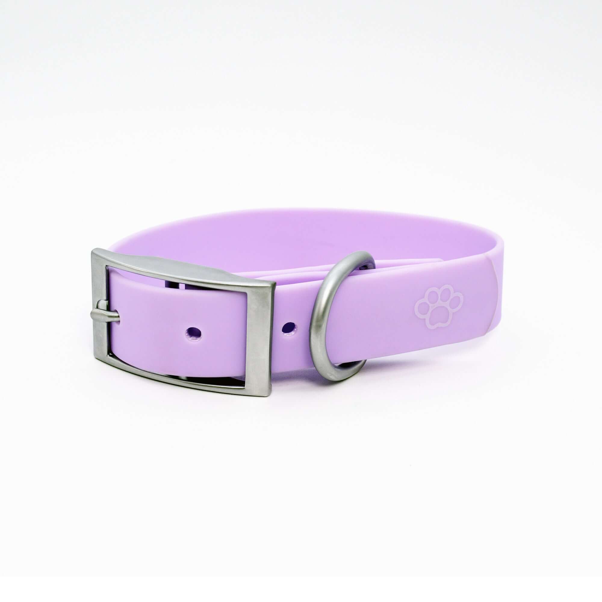 Purple dog collar with a metal buckle on a white background