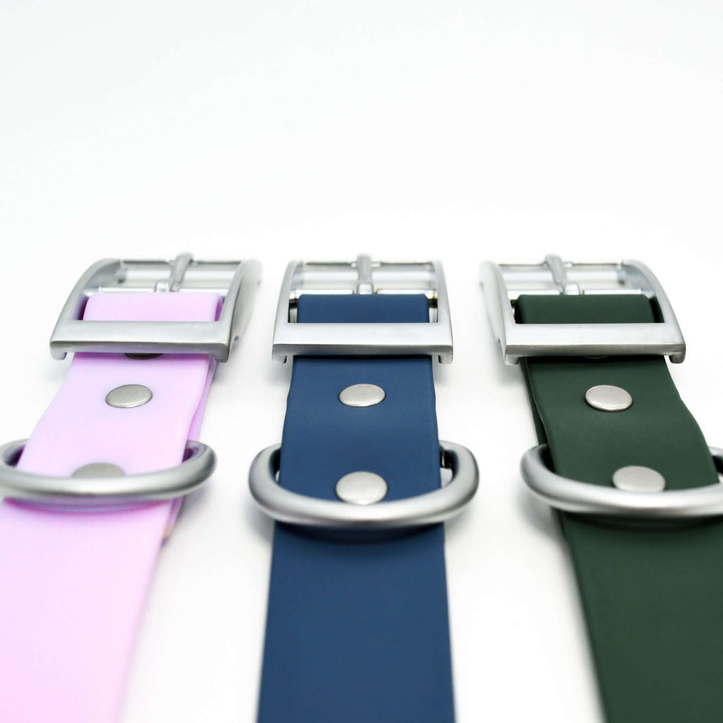 Three leash in purple, blue, and green with silver buckles on a white background.