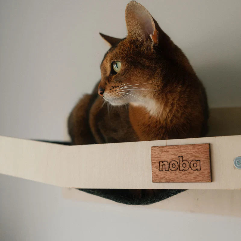 Cat sitting on a wooden shelf with 'noba' branding